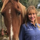 Caring, knowledgeable, experienced animal care available