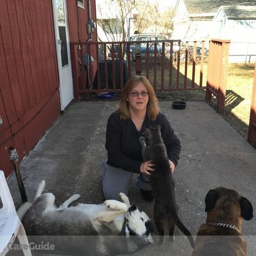 Pet Care Provider Melissa P's Profile Picture