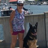 Interested In Concord House and Petsitter Jobs
