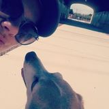 Dog/cat sitter