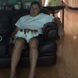 Available: Dog or cat sitter