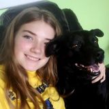 Knowledgeable Dog Walker and Pet Sitter in Holiday