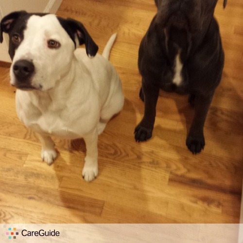 Pet Care Provider Courtney Connel's Profile Picture