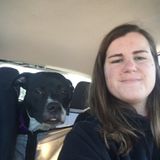 Pet care/House Sitting
