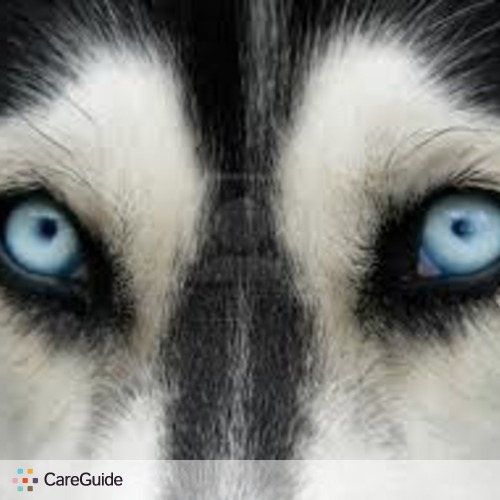 Pet Care Provider Samira M's Profile Picture