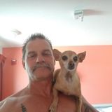 Seasoned Petsitter in Carson City