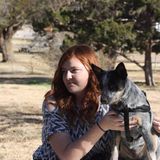 Experienced Pet Lover