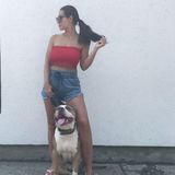 Toronto Dog Walker Interested In Work in Ontario