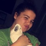 North Miami Animal Lover Seeking Job Opportunities in Florida
