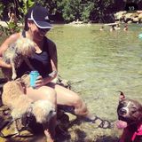 Austin Animal Caregiver Interested In Job Opportunities