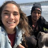 Hard Working House and Petsitter in Watertown