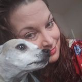 The animals you love WILL BE SAFE!