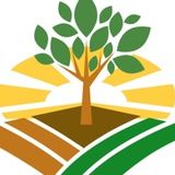 Leading you into a greener path