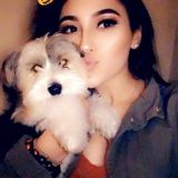 Hi im 17 years old and one big animal lover