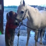 Reasonable priced pet sitter/overnight sitting and grooming!