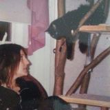 Opportunity: 9 day pet-sitting for 6 cats.