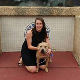 Seeking a Dog Walker Job in Kingsville, Texas