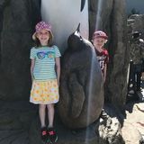 Looking for part-time nanny/housekeeper for afternoons