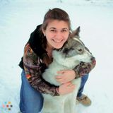 House and Pet Sitter