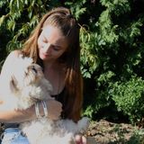 Pet Sitter and Walker in Windsor, Ontario