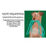 Palm Beach Gardens Pet Sitter for East Pointe, PGA National, Mirasol, Old Marsh, Ballen Isles, Old Palm