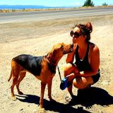 Redding, California Petsitter Opportunity