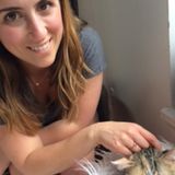 Experienced & Responsible Cat Sitter