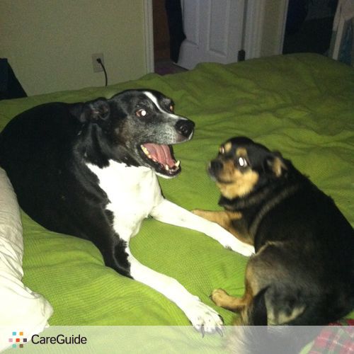 Pet Care Job Ms Alissa D's Profile Picture