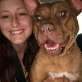 Skilled and Experienced Mars Hill student offering Pet Services of a wide variety.