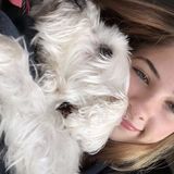 Hard Working Pet Sitter in Fort Smith, Arkansas