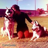 Excellent and Experienced pet sitter and dog walker