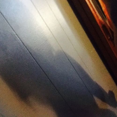 Housekeeper Provider Kelly C's Profile Picture