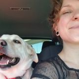 Phoenix Animal and Home Tender available for providing care to you and yours!
