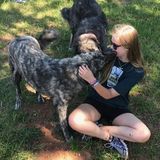 Pet Sitting Offered in Johns Creek