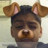 Dog Walker Houston TX 77066