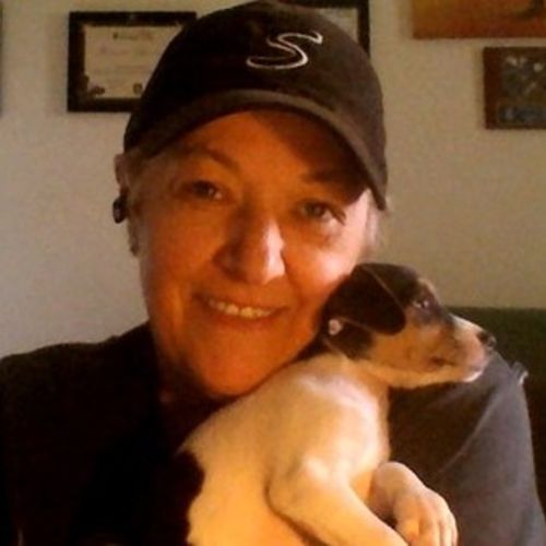 House Sitter Provider Jacque P's Profile Picture