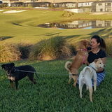 Skillful Pet Sitting Available Now!