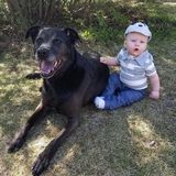Great Dog Walker in Spruce Grove, Alberta
