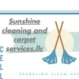 Cleaner