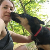 Dog Walking Offered in Aurora and surrounding areas
