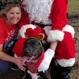 Davenport House and Plant Sitter Interested In Being Hired in Florida