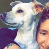 Ill run with your dog! Feed your dog, teach your dog new tricks or work on behavioral issues!