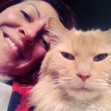 Im SusanZA. Offering Loving Animal Care. Cats, dogs, horses. Your place.