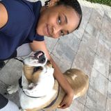 Caring Animal Caregiver in Broward County Fl.