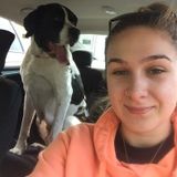Looking For Taunton Animal Lover Jobs