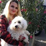 Available: Caring Caretaker in Frankford, Ontario