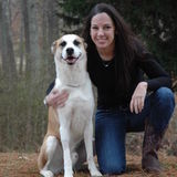 Passionate about dogs! Excellent and caring!