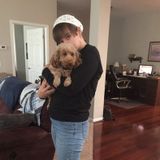 Dog Walking and Pet Sitting Offered in Reading