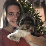 Available: Professional Petsitter in Saratoga Springs, New York
