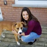Seeking Pet Parents who need an experienced trustworthy Pet Sitter/Walker in the Mississauga/Oakville area